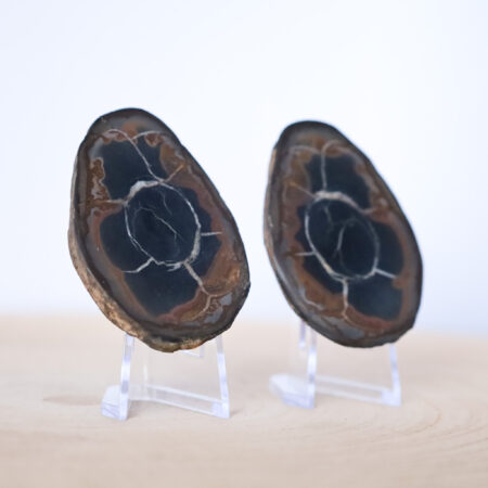 Septaria Para 73g z podstawkami Maroko