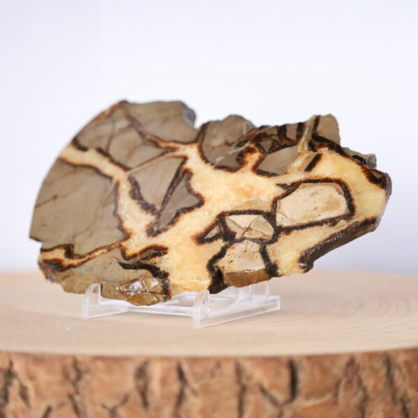 Septaria Plaster 292g Madagaskar