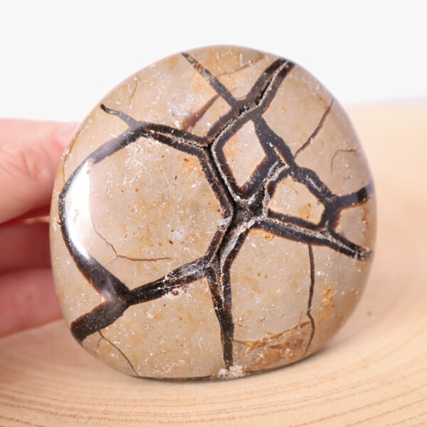 Septaria 327g Madagaskar